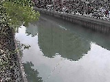 新田間橋付近のカメラ画像