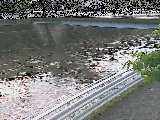 鷹匠橋付近のカメラ画像