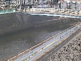 柏尾川 鷹匠橋付近のカメラ画像