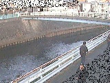 鷹匠橋付近のカメラ画像