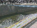 鷹匠橋付近のカメラ画像