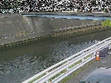鷹匠橋付近のカメラ画像