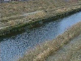 柏尾川 元町橋付近のカメラ画像