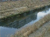 柏尾川 元町橋付近のカメラ画像