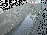 埋田橋付近のカメラ画像