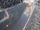 大岡川 埋田橋付近のカメラ画像