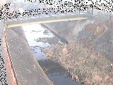 鍛冶橋付近のカメラ画像