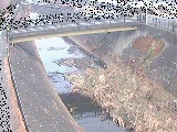 早淵川 鍛冶橋付近のカメラ画像