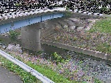 寺家橋付近のカメラ画像