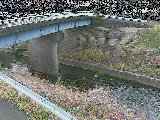 寺家橋付近のカメラ画像