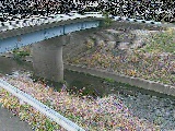 寺家橋付近のカメラ画像