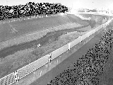 早淵川 高田橋付近のカメラ画像