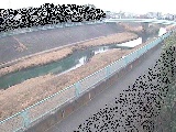 早淵川 高田橋付近のカメラ画像