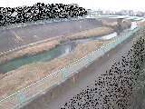 早淵川 高田橋付近のカメラ画像