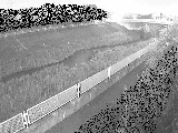 高田橋付近のカメラ画像