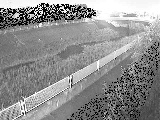 高田橋付近のカメラ画像