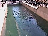 大岡川分水路 屏風ヶ浦橋付近のカメラ画像