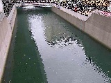 大岡川分水路 屏風ヶ浦橋付近のカメラ画像