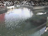 中村川 蒔田公園付近のカメラ画像