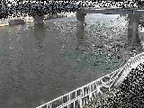 堀割川付近のカメラ画像
