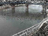 堀割川付近のカメラ画像