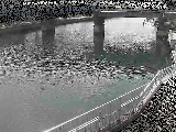 堀割川付近のカメラ画像