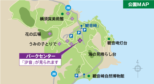 公園MAP 横須賀美術館 花の広場 うみの子とりで パークセンター「汐音」が見られます 「観音崎」 観音崎灯台 海の見晴らし台 観音崎自然博物館