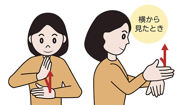 横から見たとき