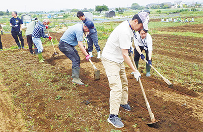 農業体験の様子