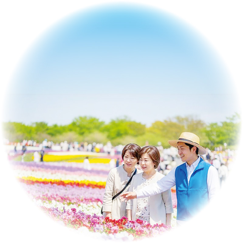 花畑のイメージ