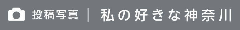 私の好きな神奈川（投稿写真）