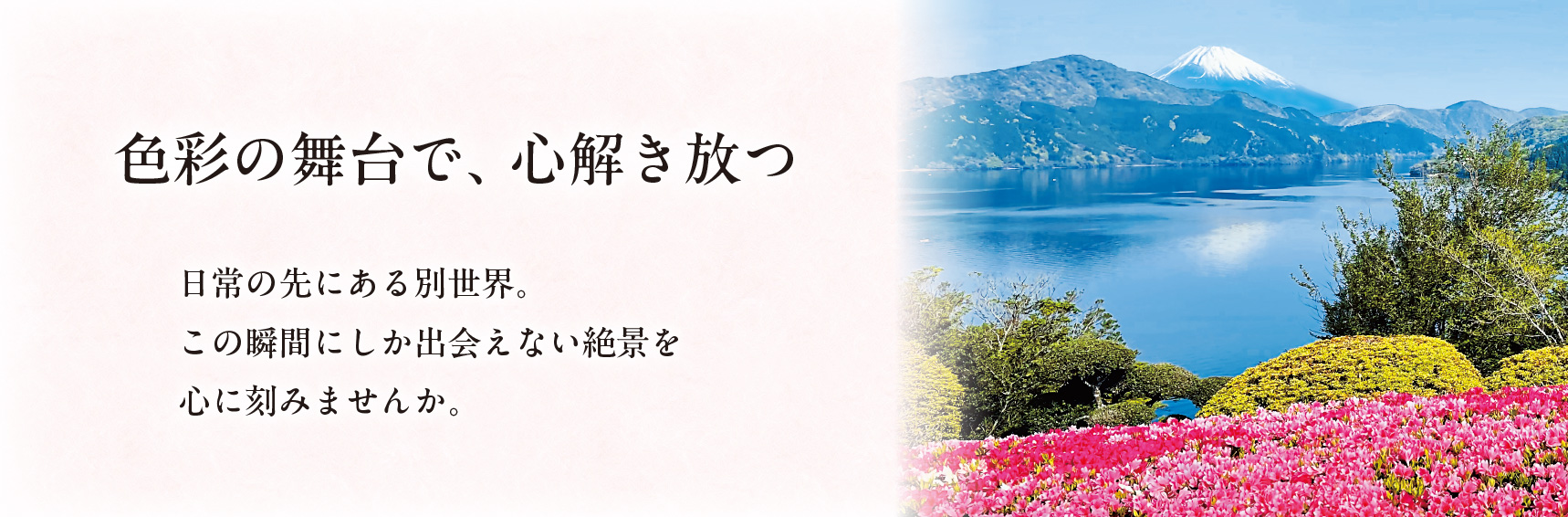 色彩の舞台で、心解き放つ