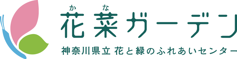 花菜ガーデン&nbsp;神奈川県立花と緑のふれあいセンター