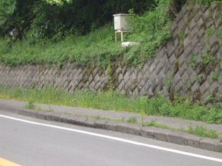 写真：歩道（縁石）の押出し状況