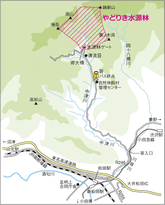 やどりき水源林地図