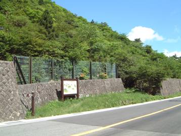 写真：探勝歩道出入口の風景