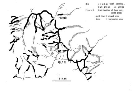 図：1988～89年の稜線付近のササの分布図