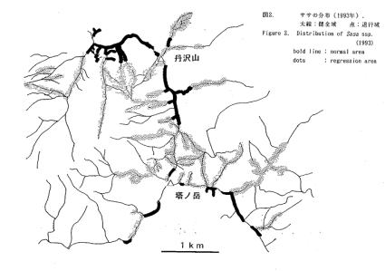 図：1993年の稜線付近のササの分布図
