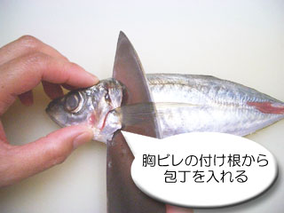 魚のさばき方 かながわの魚 神奈川県ホームページ