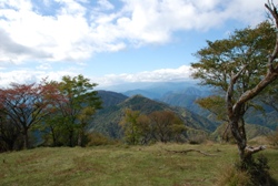 写真：鍋割山