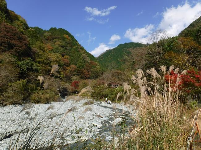 秋模様の中で自然観察