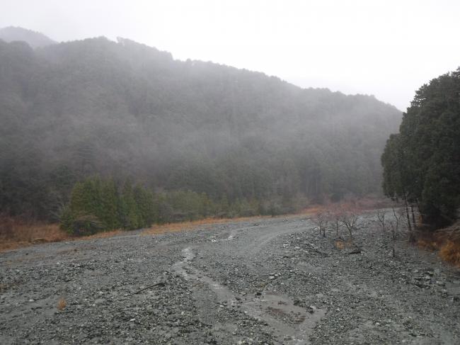 雨の日のやどりき水源林の様子