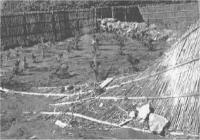 第2室戸台風被害状況(茅ヶ崎海岸)昭和36年